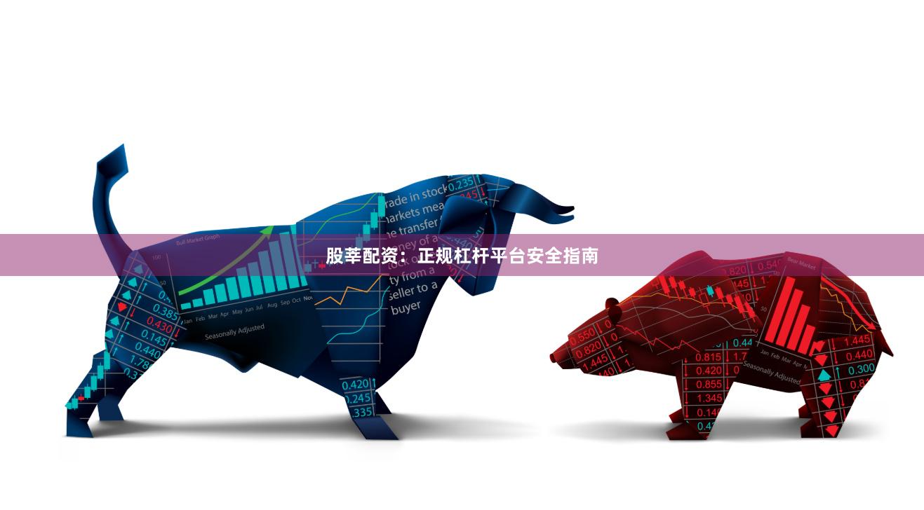 股莘配资：正规杠杆平台安全指南