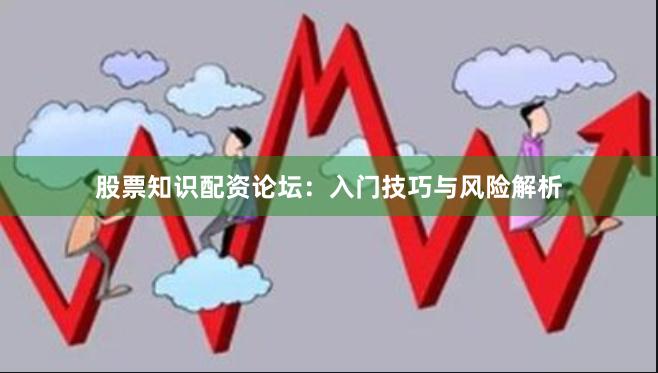 股票知识配资论坛：入门技巧与风险解析